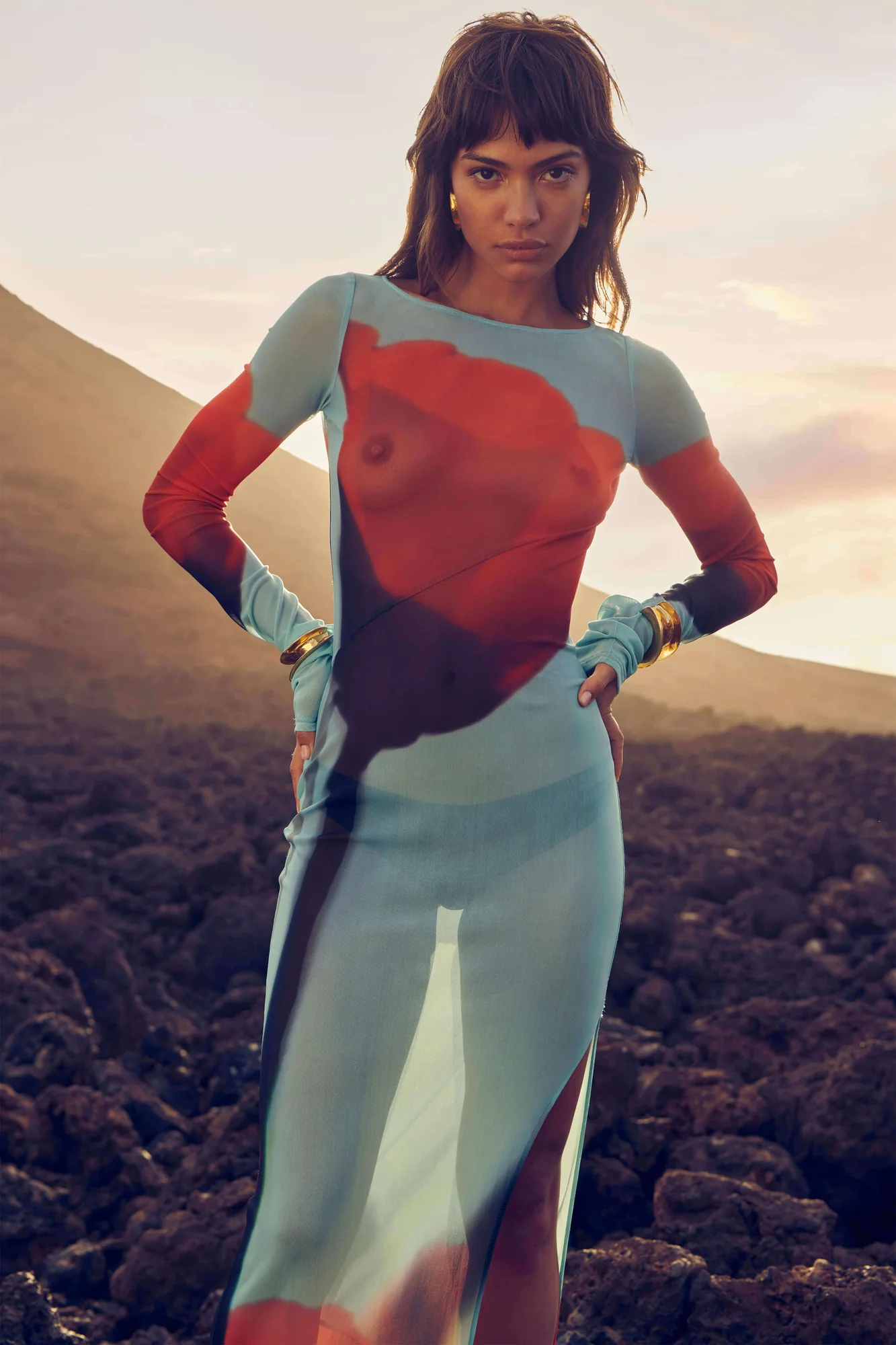 Blue Tulip Print Sheer Maxi Dress