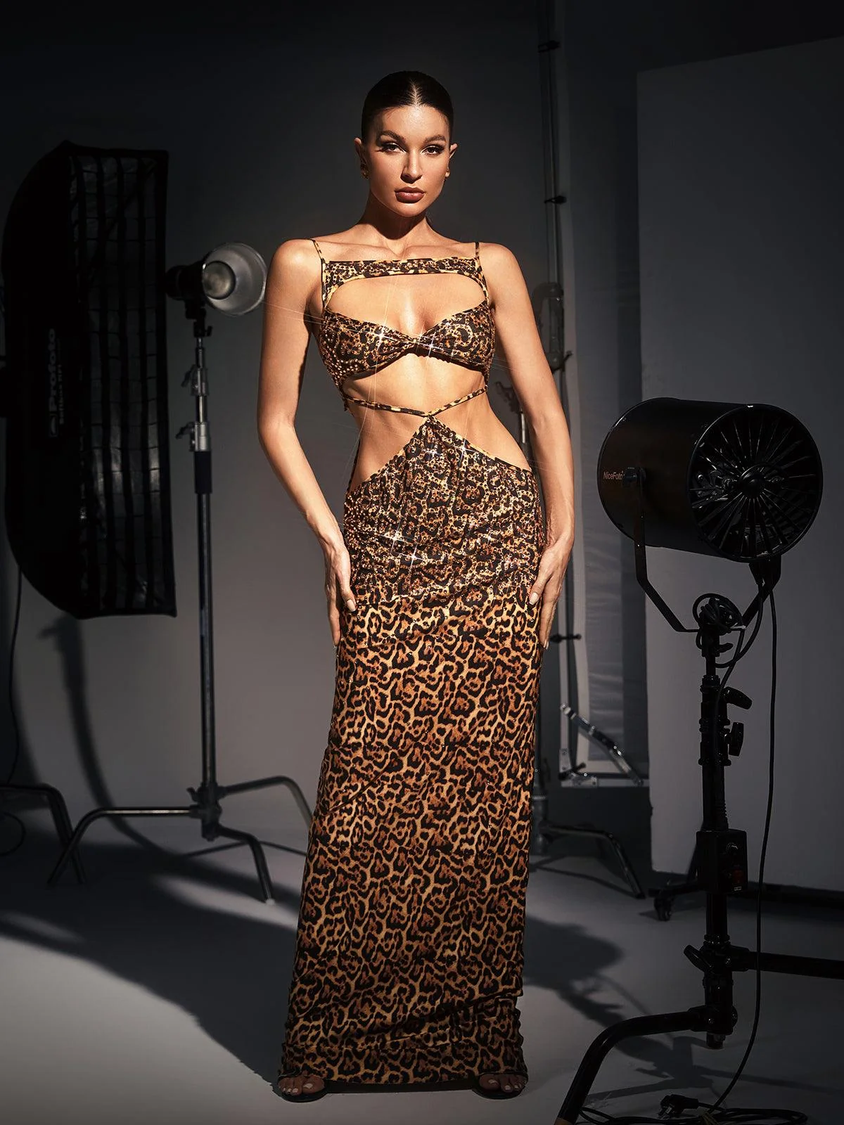 Leopard Print Crystal Embellished Maxi Dress