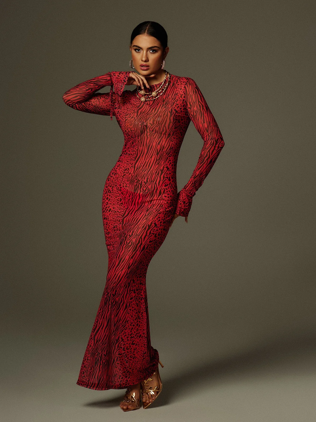 Leopard Print Long Sleeve Maxi Dress