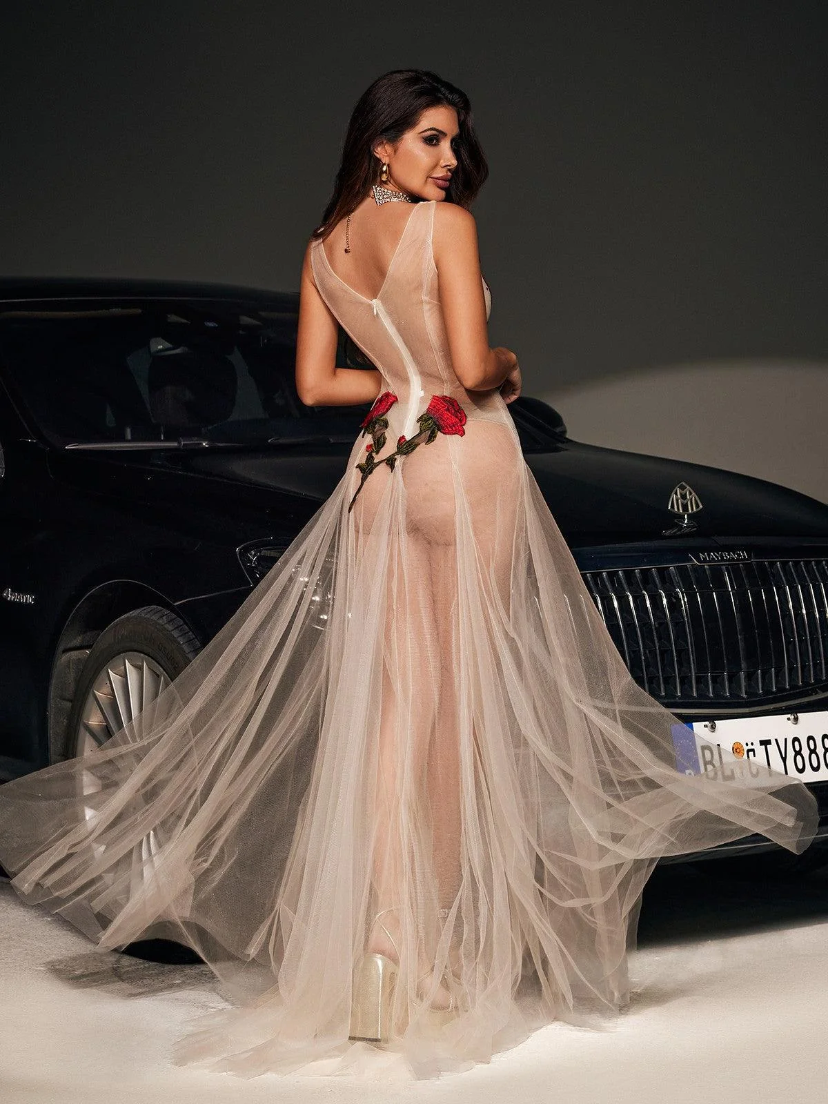 Floral Embroidered Mesh V-Neck Dress