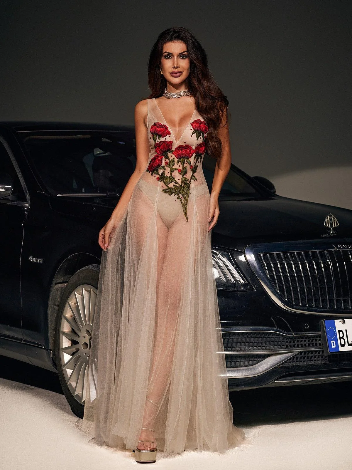 Floral Embroidered Mesh V-Neck Dress