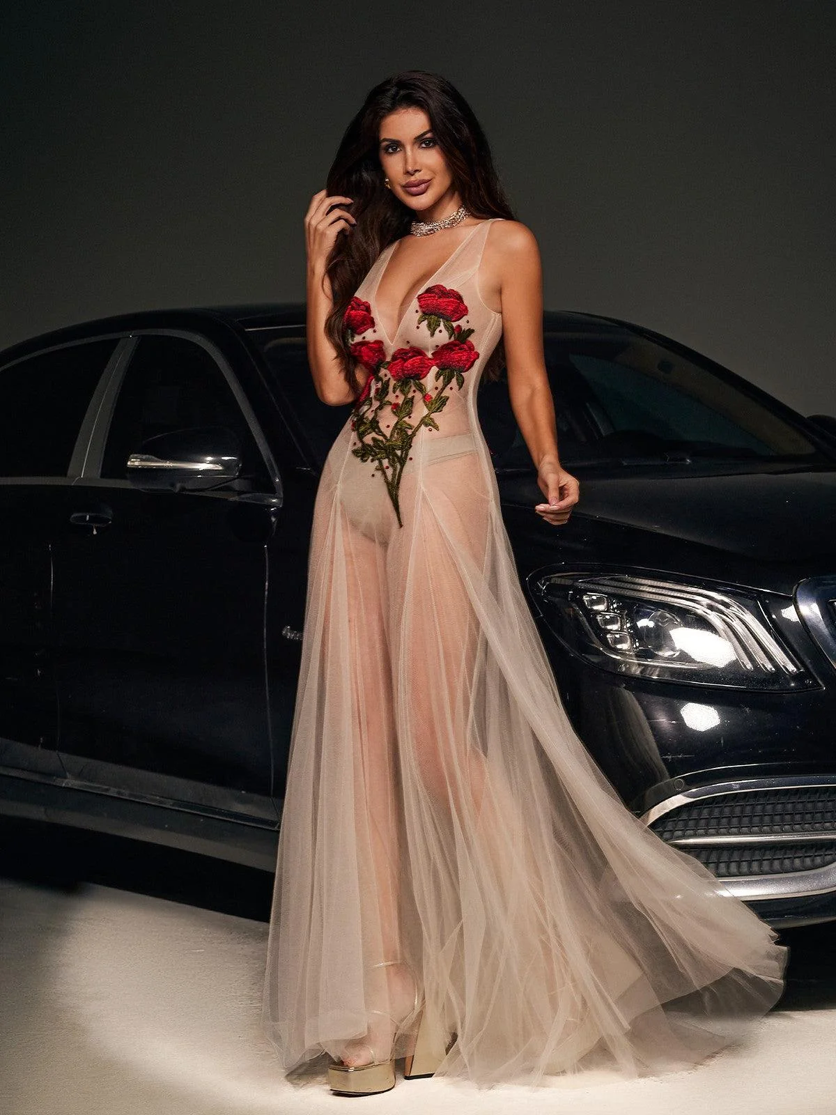 Floral Embroidered Mesh V-Neck Dress