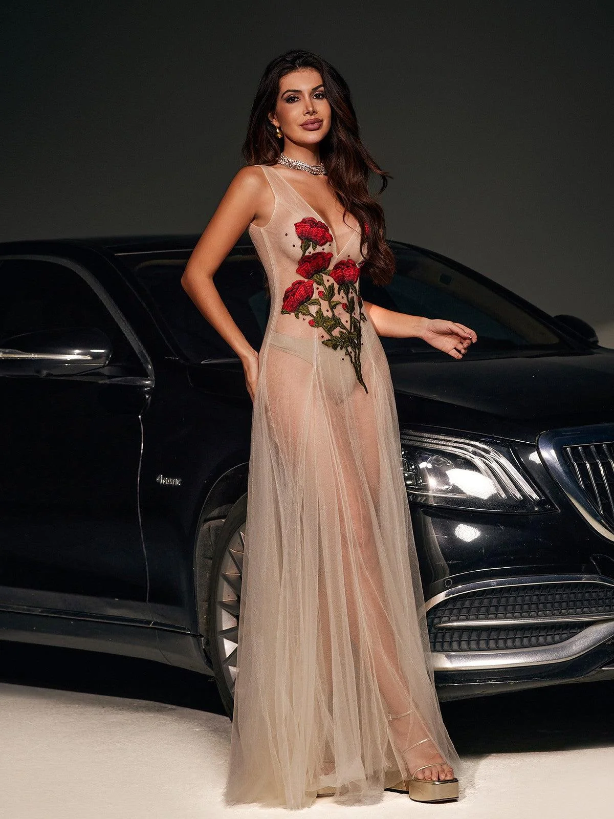 Floral Embroidered Mesh V-Neck Dress