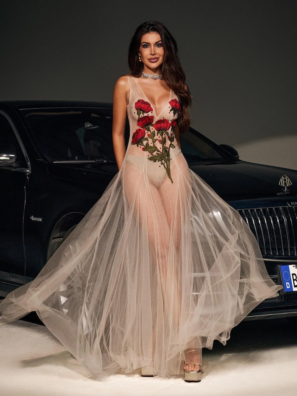 Floral Embroidered Mesh V-Neck Dress