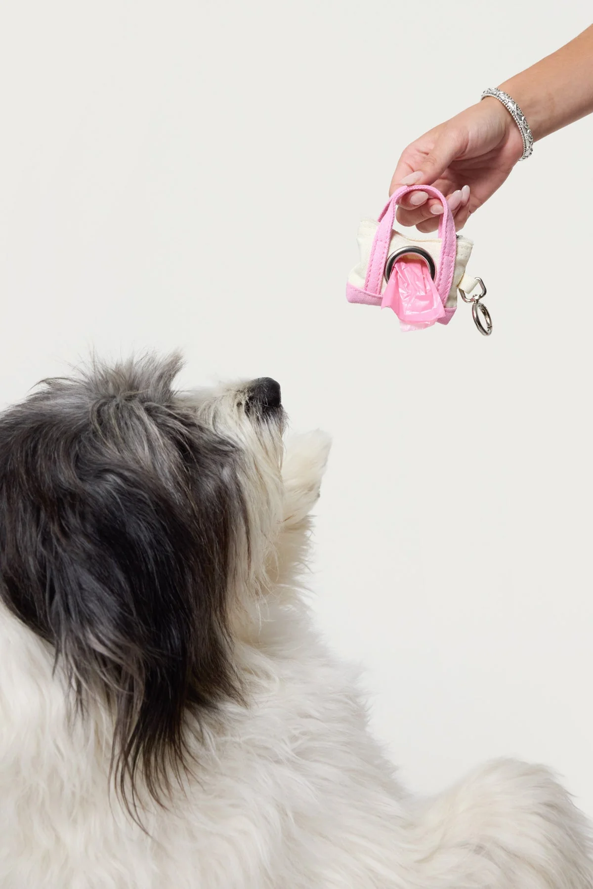 Pink Portable Doodie Bag Holder Organizer for Pets