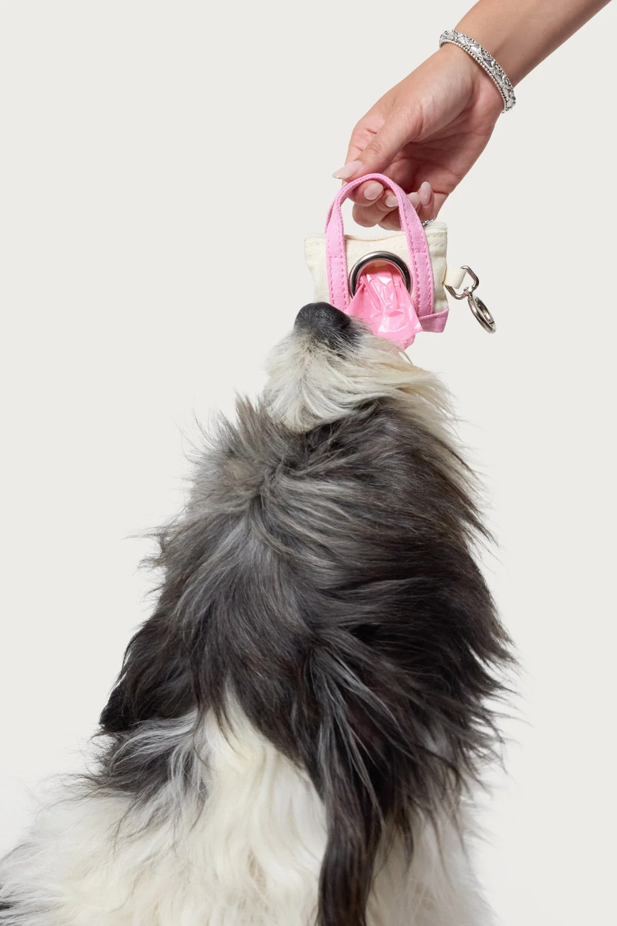 Pink Portable Doodie Bag Holder Organizer for Pets
