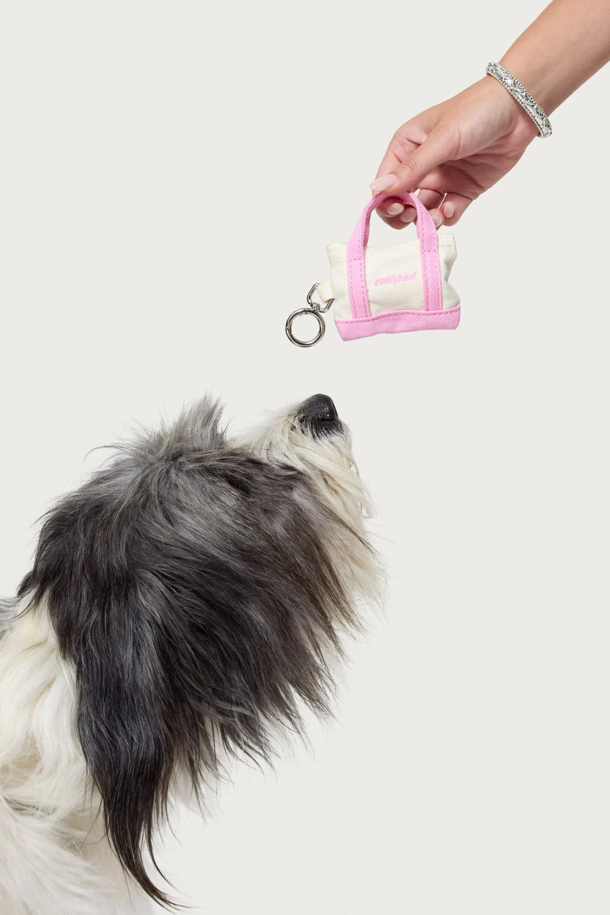 Pink Portable Doodie Bag Holder Organizer for Pets