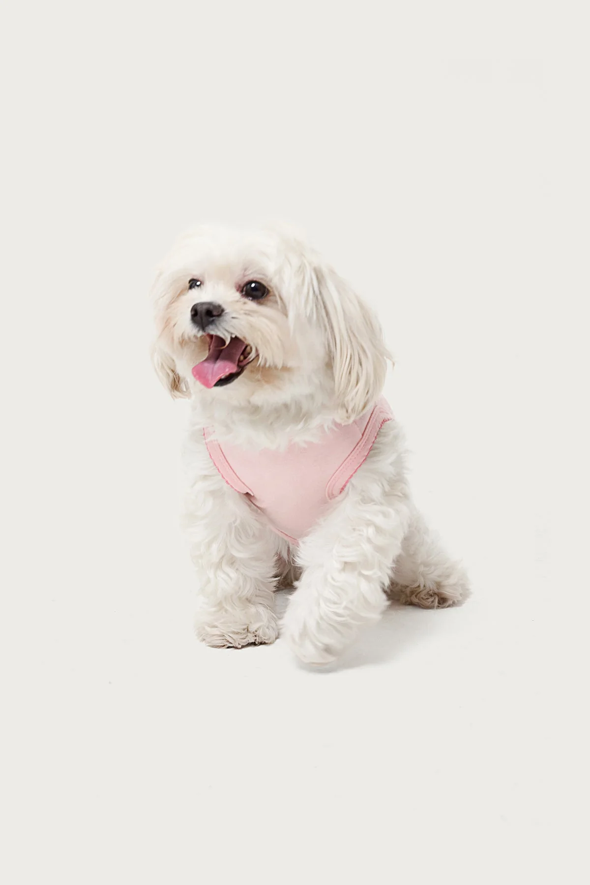 Cute Pink Dog Tank Top for Small Pets