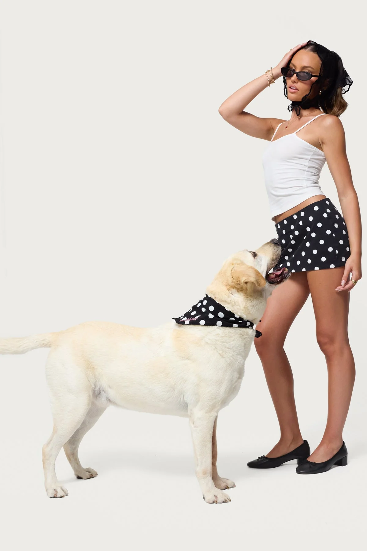 Black and White Striped Dog Scarf