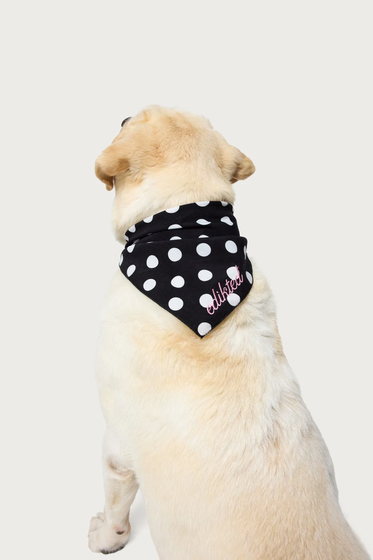 Black and White Striped Dog Scarf
