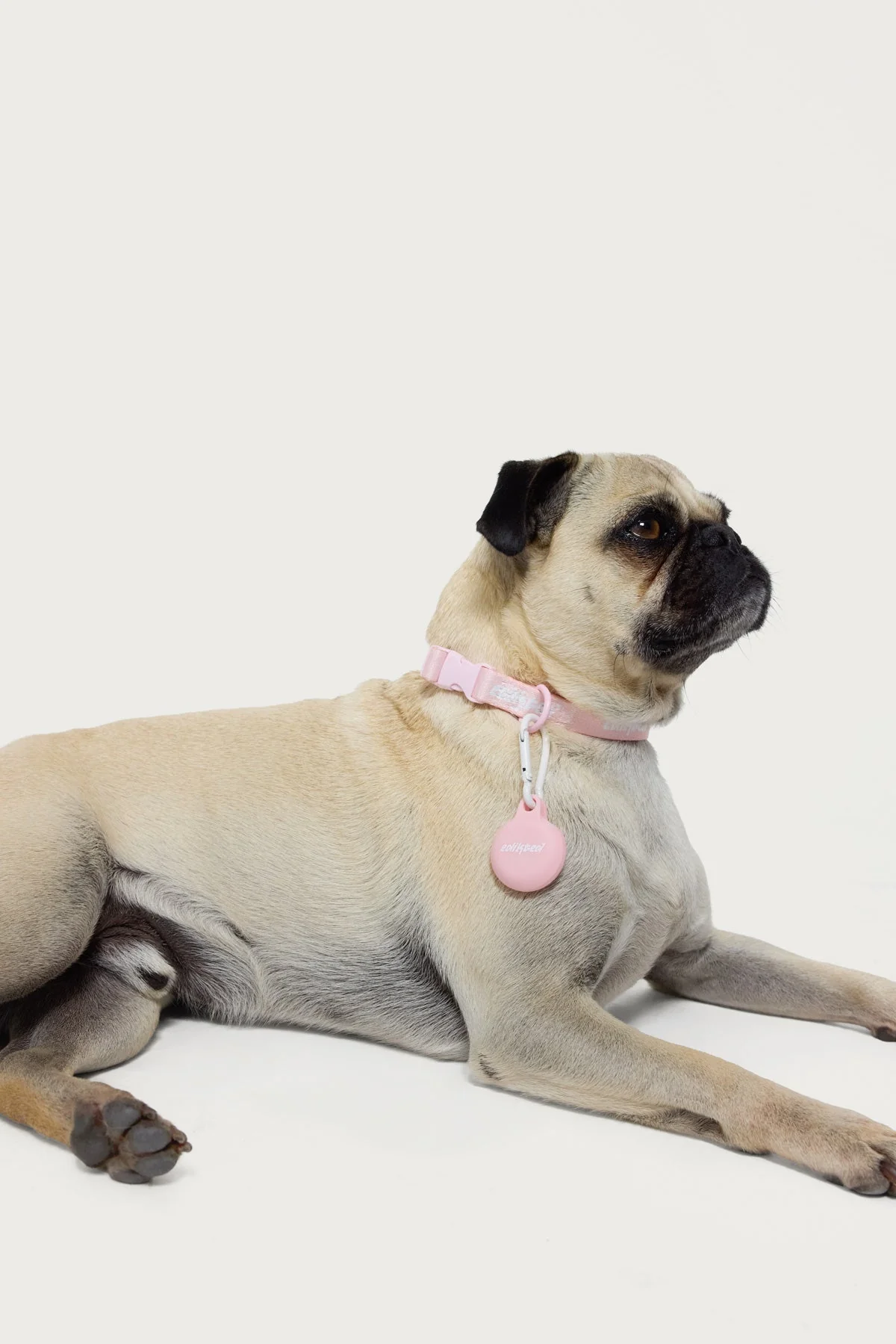 Pink Edikted AirTag Holder Strap