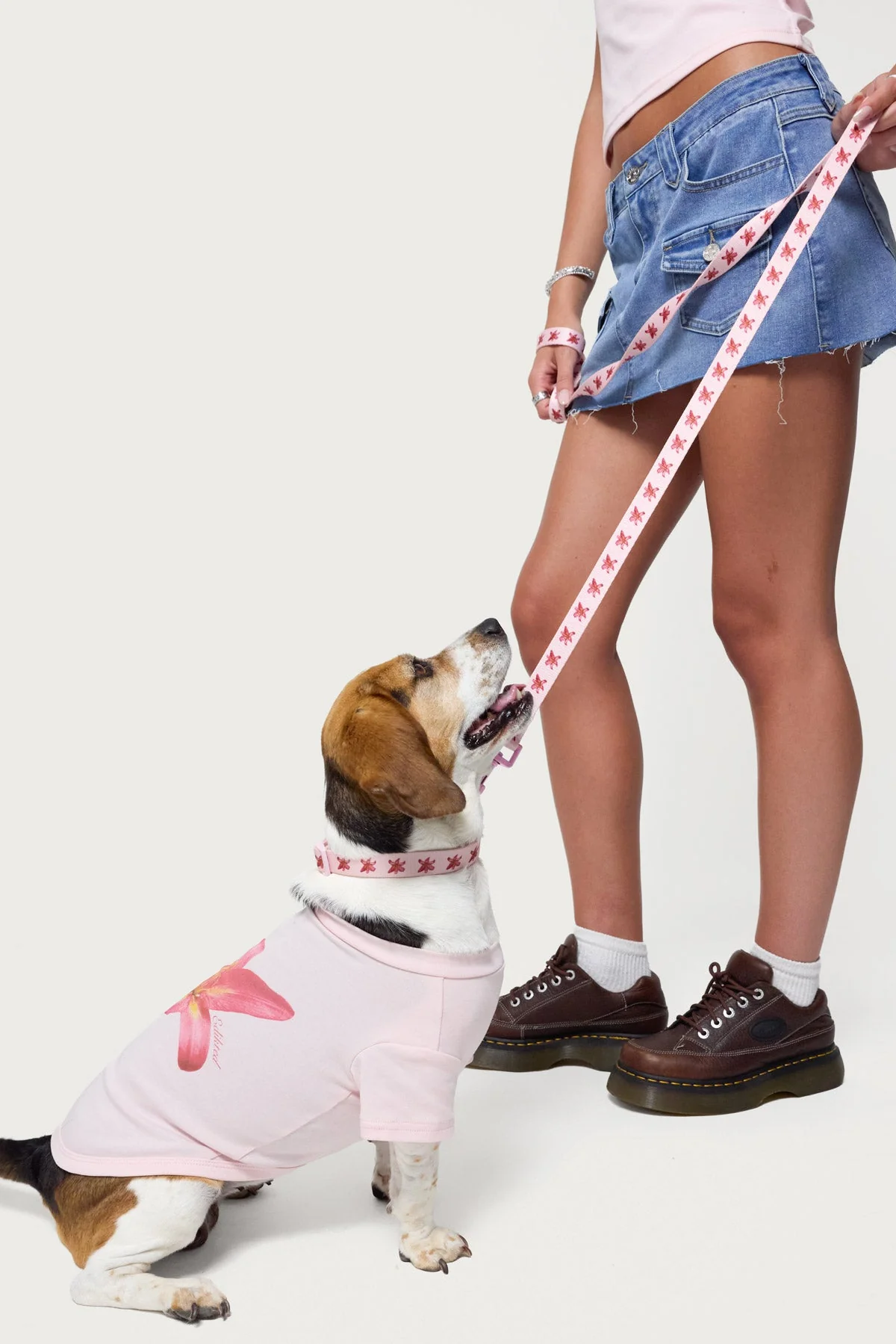 Pink Daylily Dog Leash - Premium Quality Pet Leash
