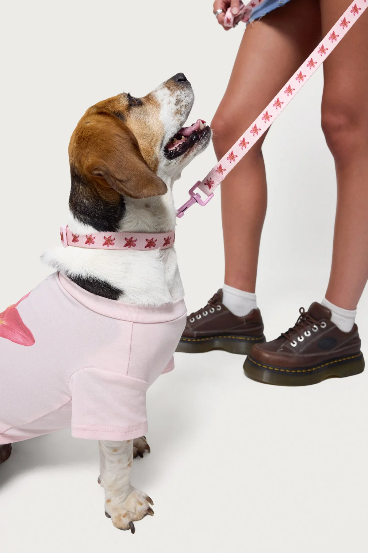 Pink Daylily Dog Leash - Premium Quality Pet Leash