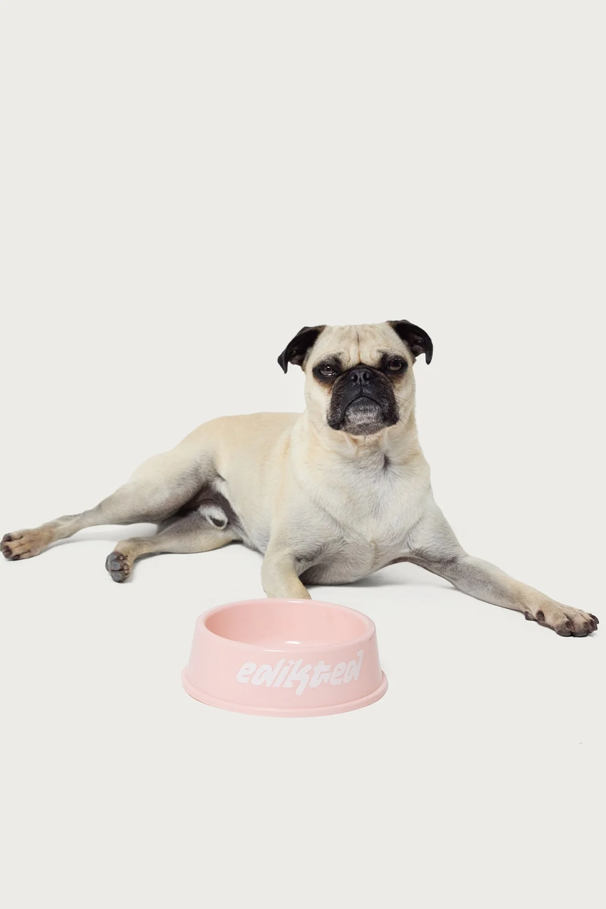 Pink Dog Bowl for Bone Appetite Satisfaction and Style