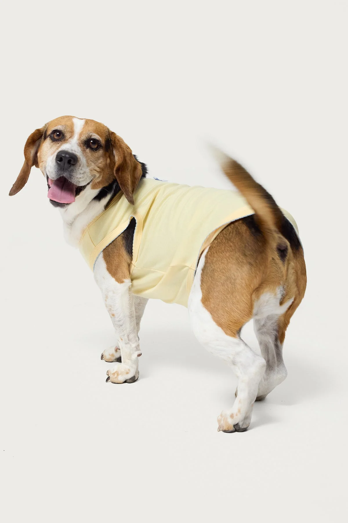 Yellow Dog Tank Top Sleeveless Shirt XS-XL Pet Apparel Summer Breathable