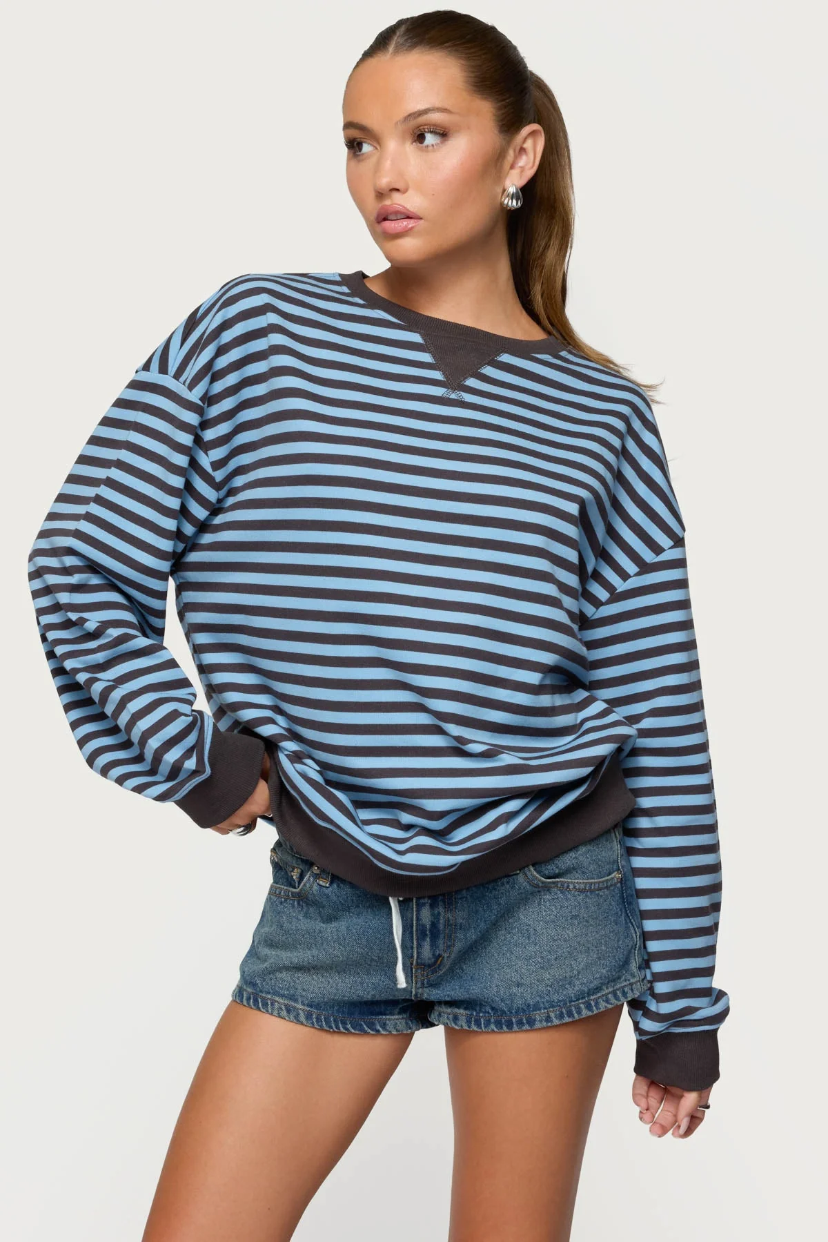 Blue Striped Crewneck Sweatshirt