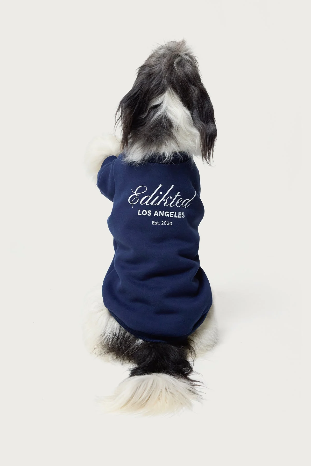 Navy Dog Sweatshirt for Stylish Pets