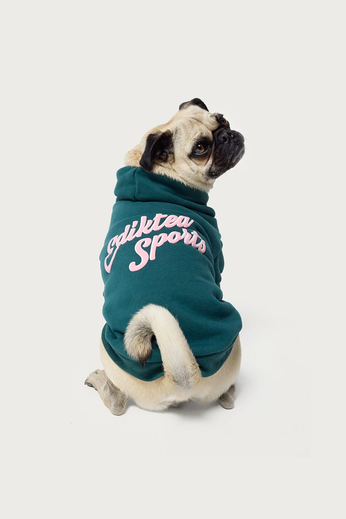 Dark Green Sporty Dog Hoodie - Cozy Pet Apparel