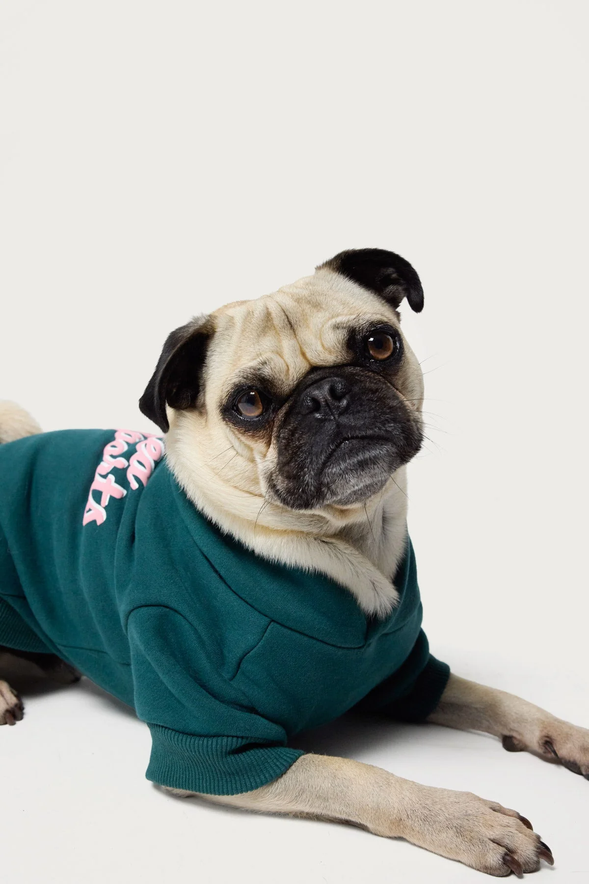 Dark Green Sporty Dog Hoodie - Cozy Pet Apparel