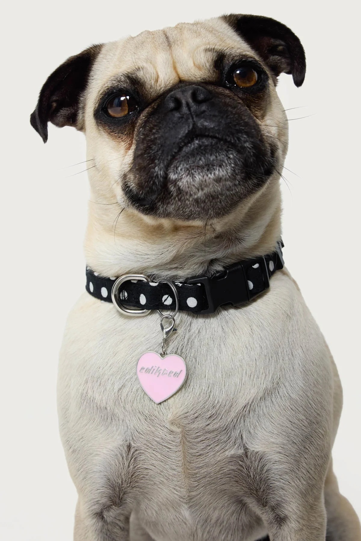 Pink Heart Collar Charm for Pet Accessories