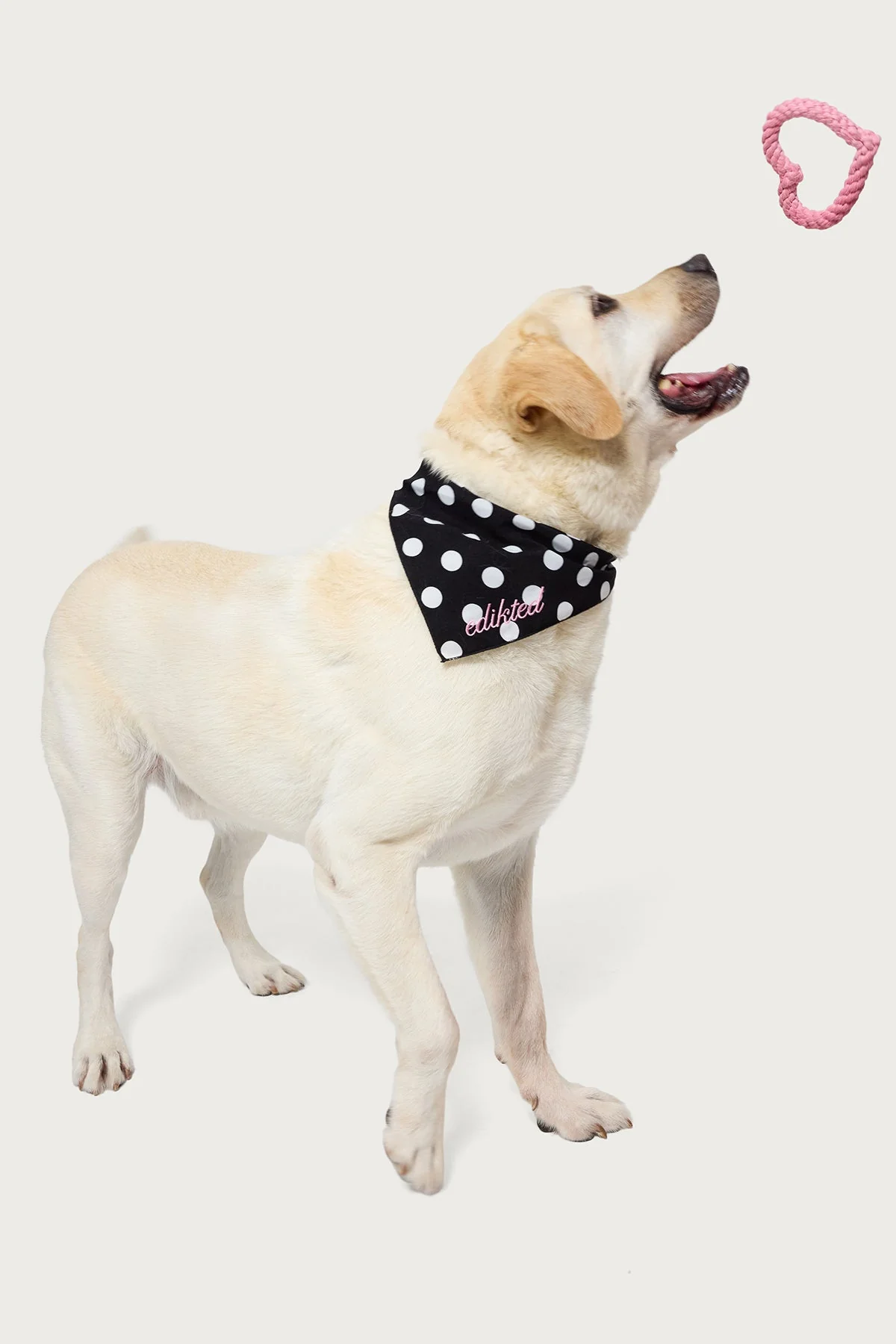 Pink Puppy Love Rope Toy for Dogs