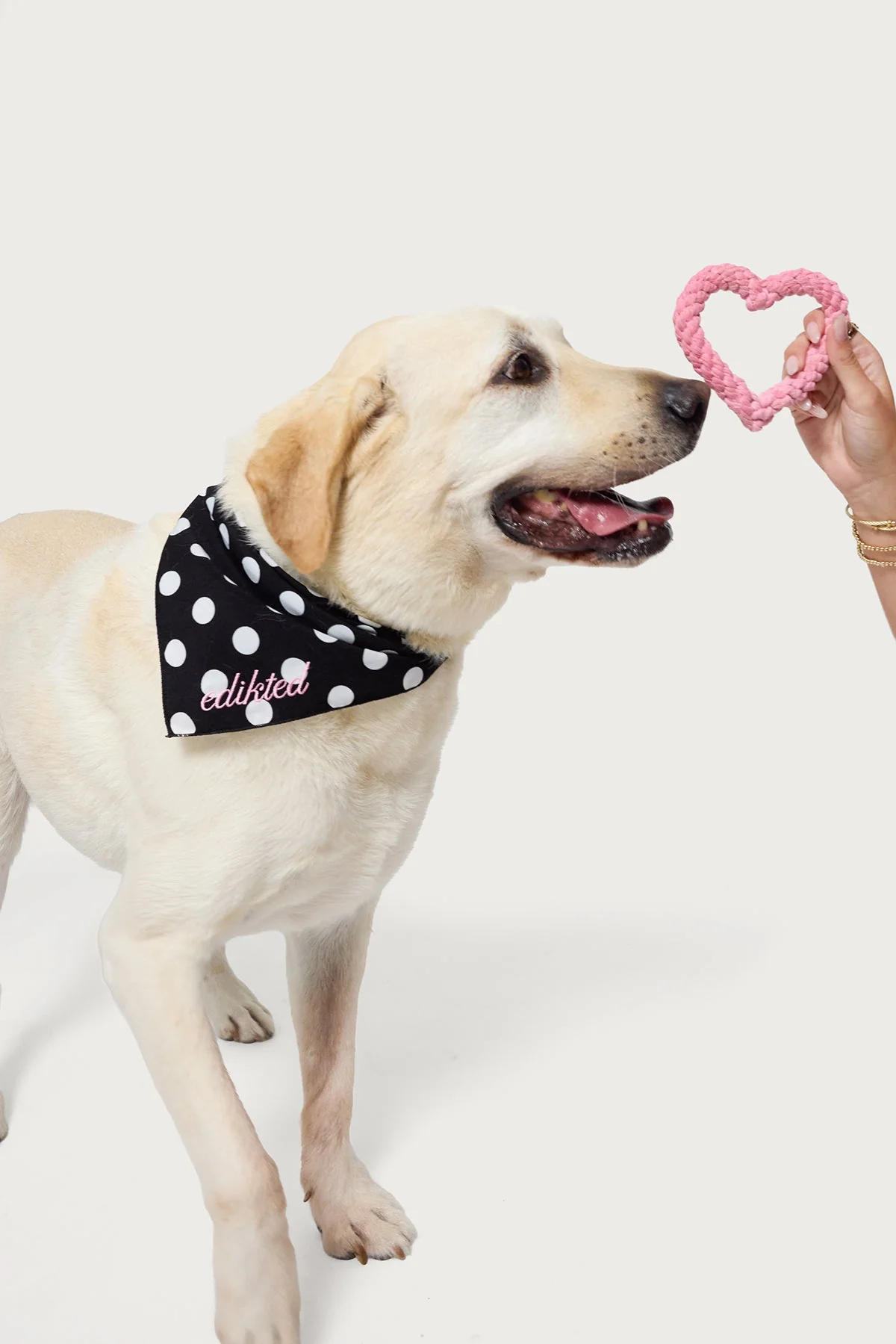 Pink Puppy Love Rope Toy for Dogs