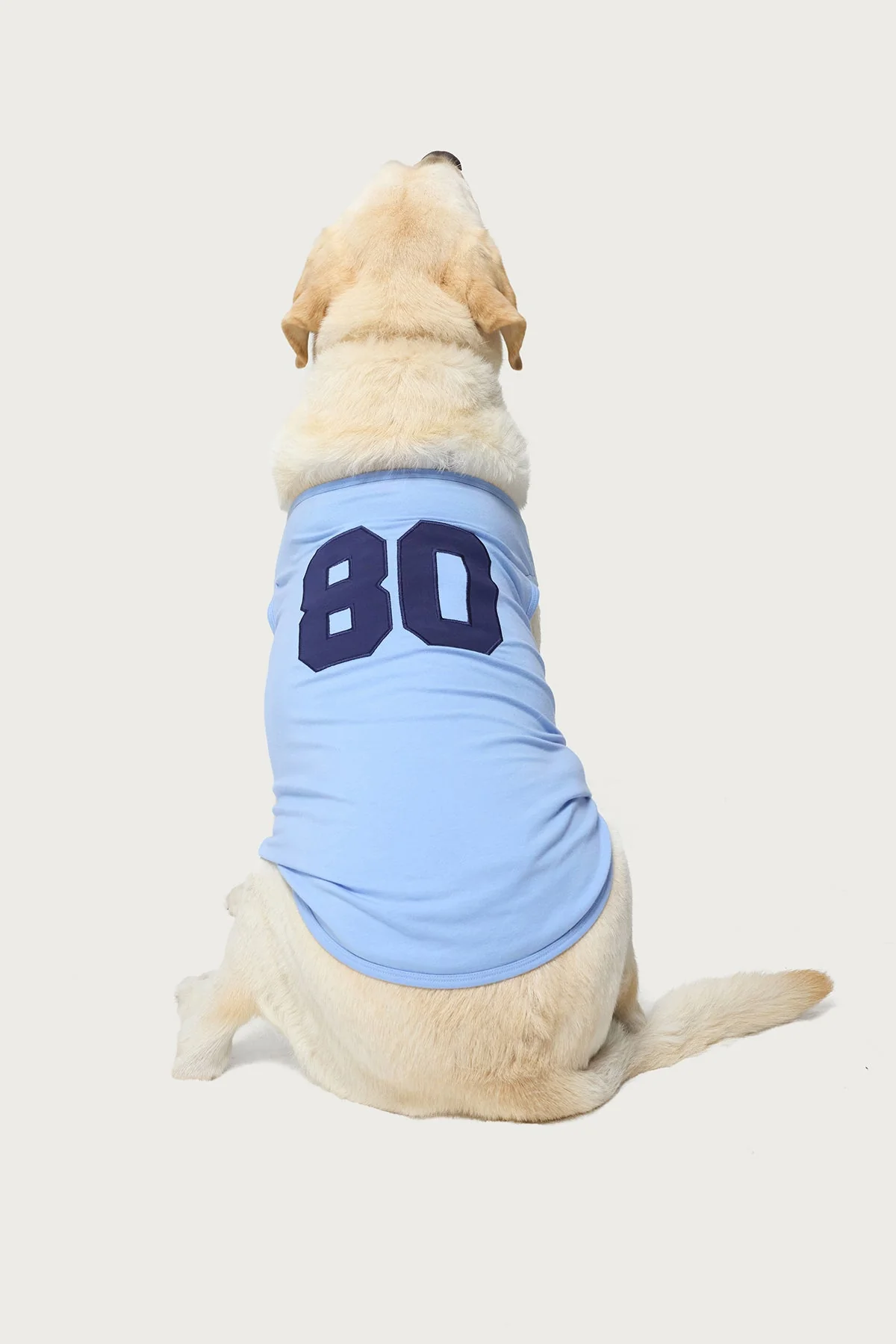 Vintage Style Light Blue Dog Tank Top