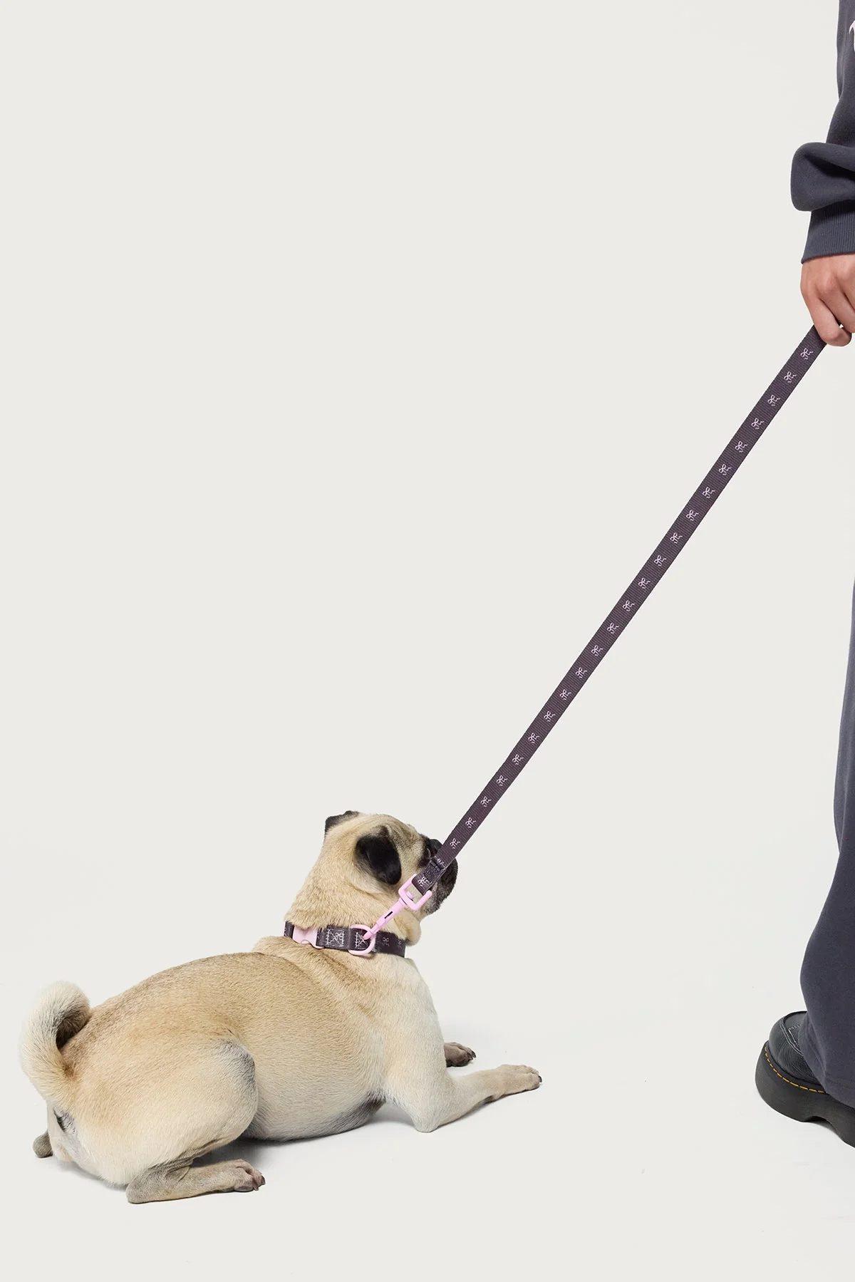 Gray Bow Dog Leash for Stylish Walks - Durable Design