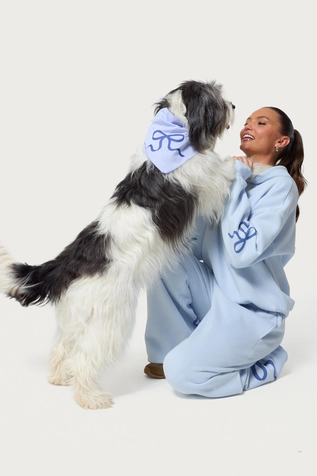 Light Blue Bow Dog Bandana for Stylish Pets
