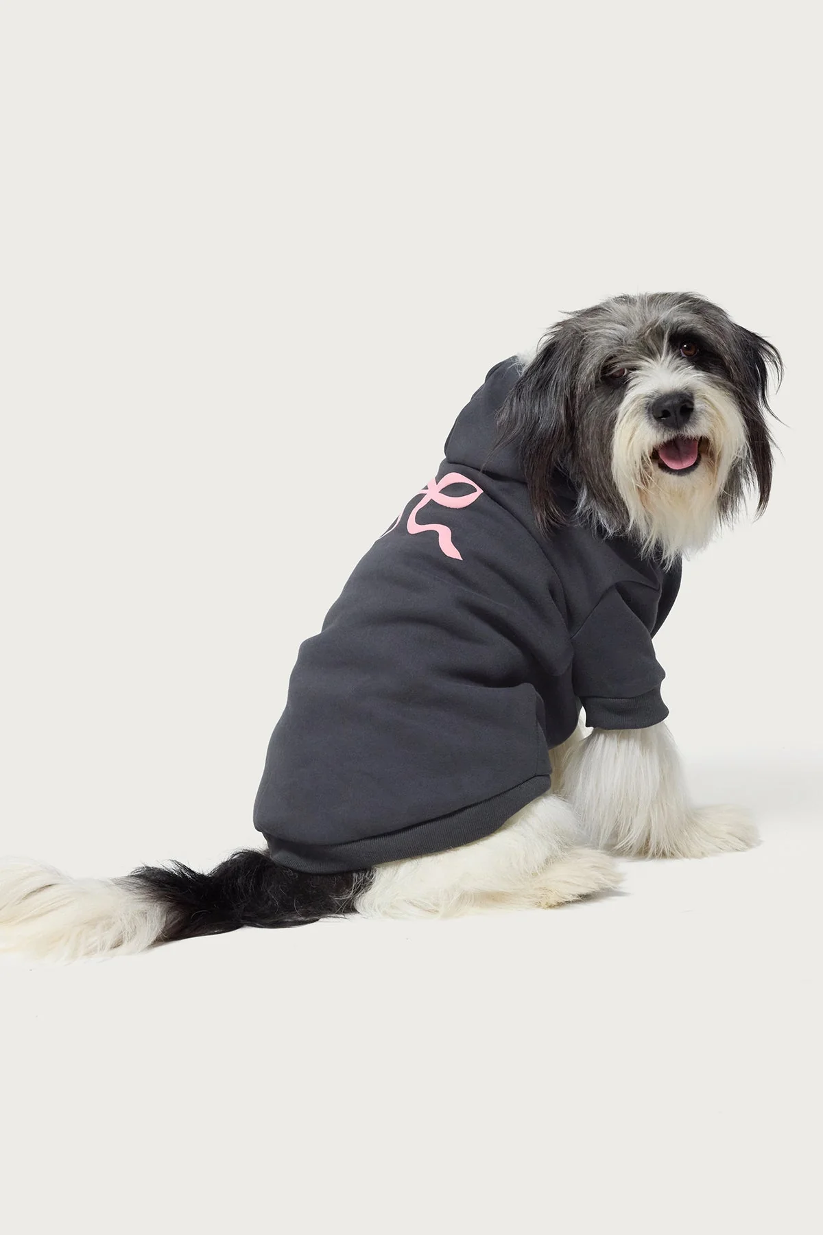 Adorable Bow Detail Gray Dog Hoodie - Pet Apparel