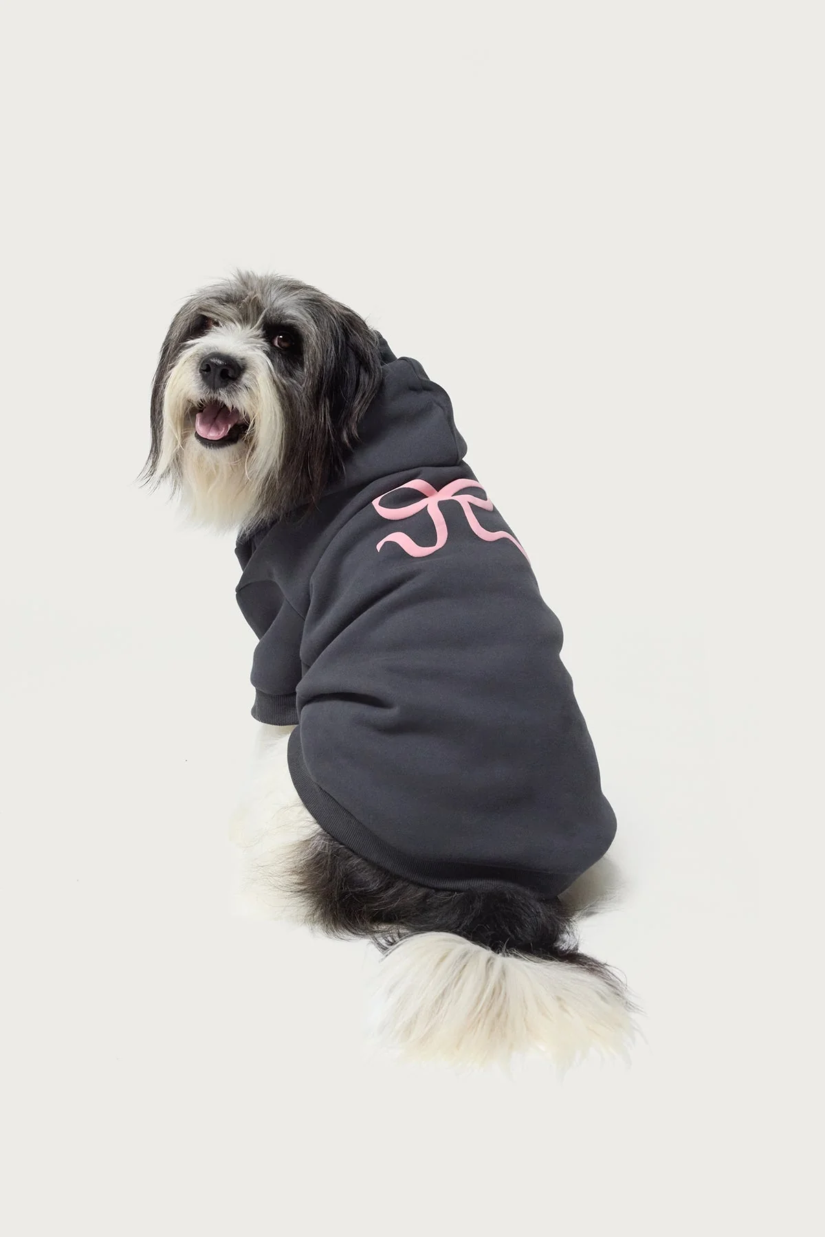 Adorable Bow Detail Gray Dog Hoodie - Pet Apparel