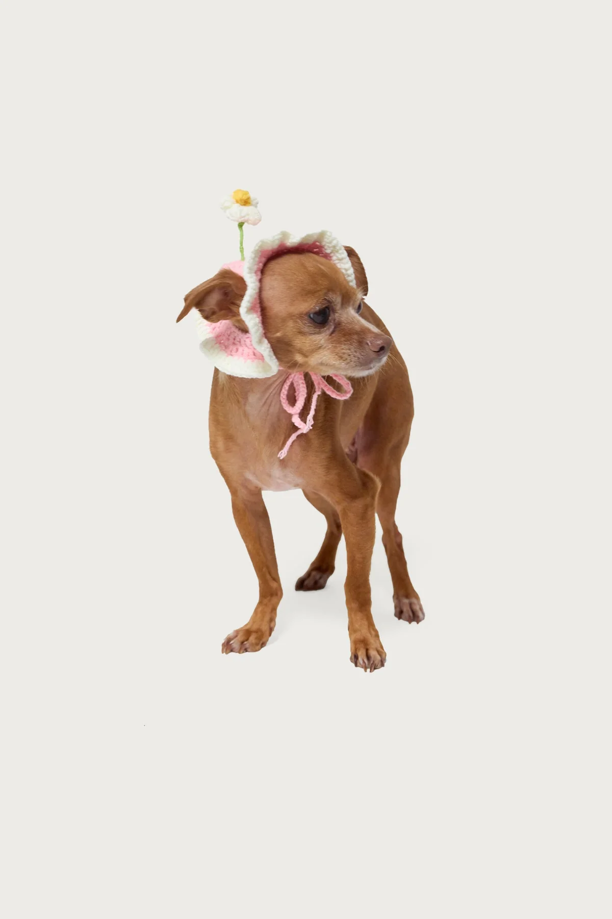 Crochet Petal Pup Pink Hat for Kids