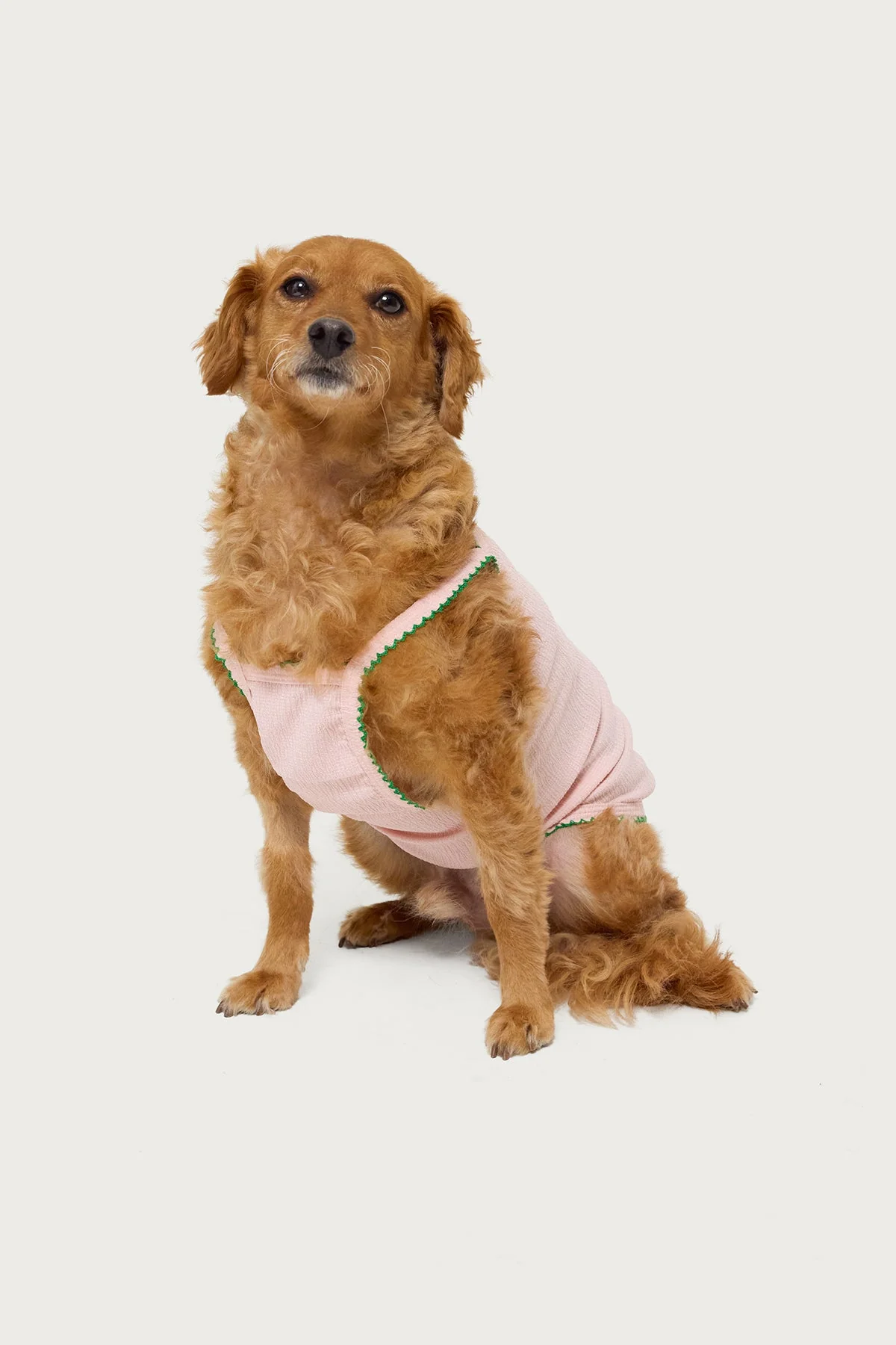 Pink Coastal Pup Tank Top for Stylish Pets
