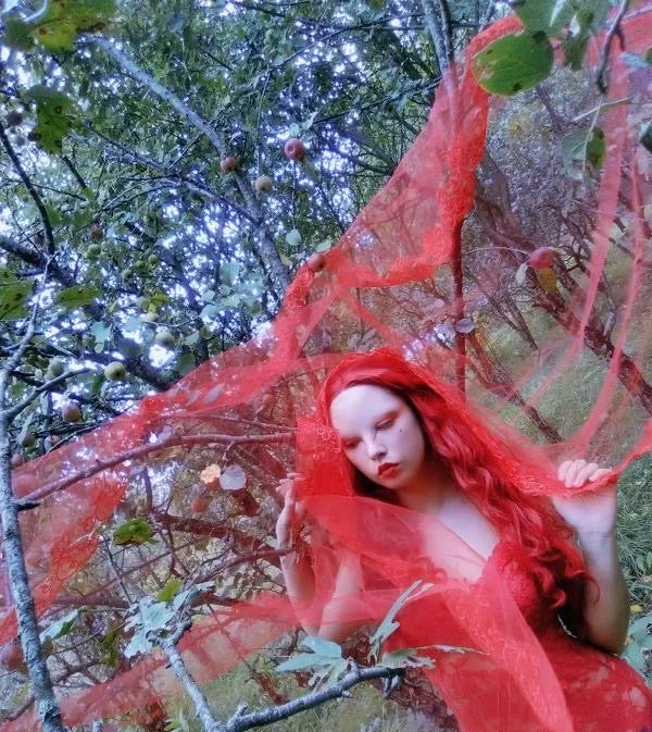 Sheer Red Floral Edge Veil - Two Length Options