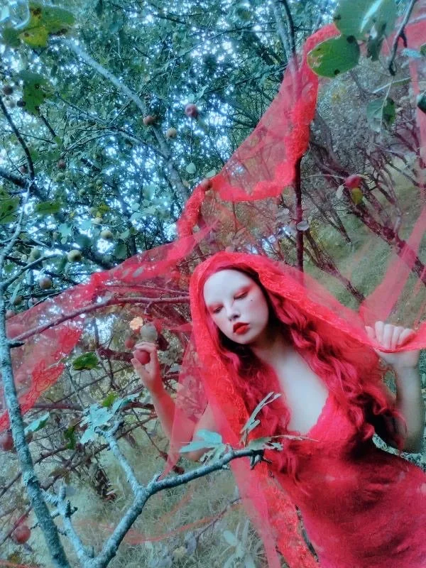 Sheer Red Floral Edge Veil - Two Length Options