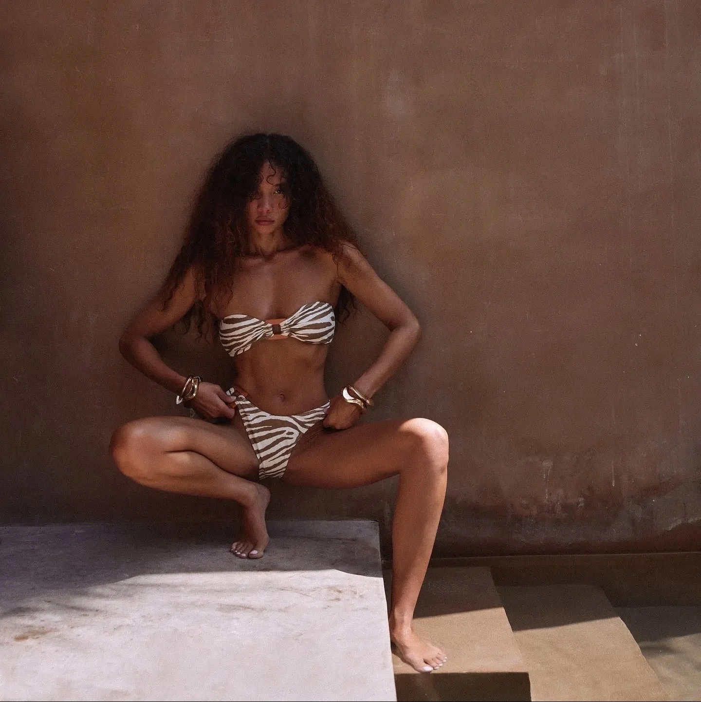 Zebra Print Strapless Bikini in Brown - Summer Chic Swimwear