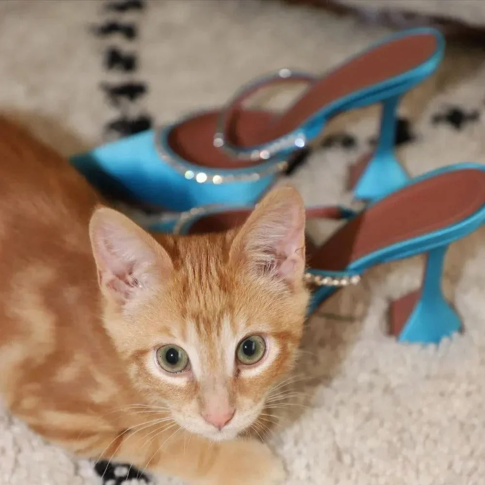 Crystal Embellished Satin High Heels - Elegant Evening Shoes