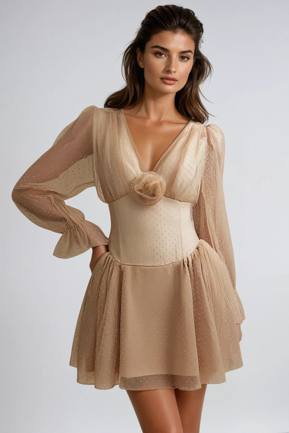 Floral Embroidered Mesh Mini Dress with Balloon Sleeves