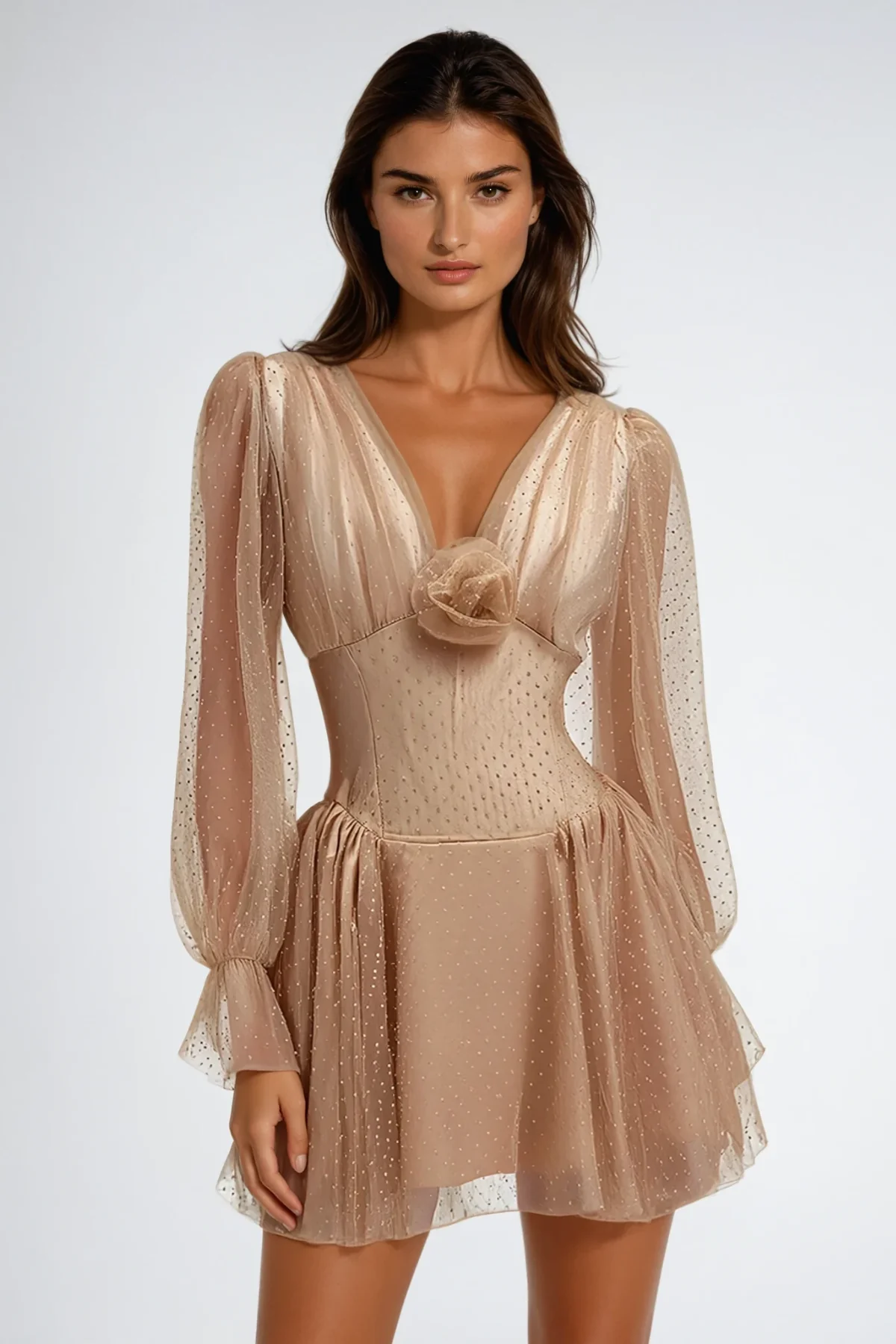 Floral Embroidered Mesh Mini Dress with Balloon Sleeves