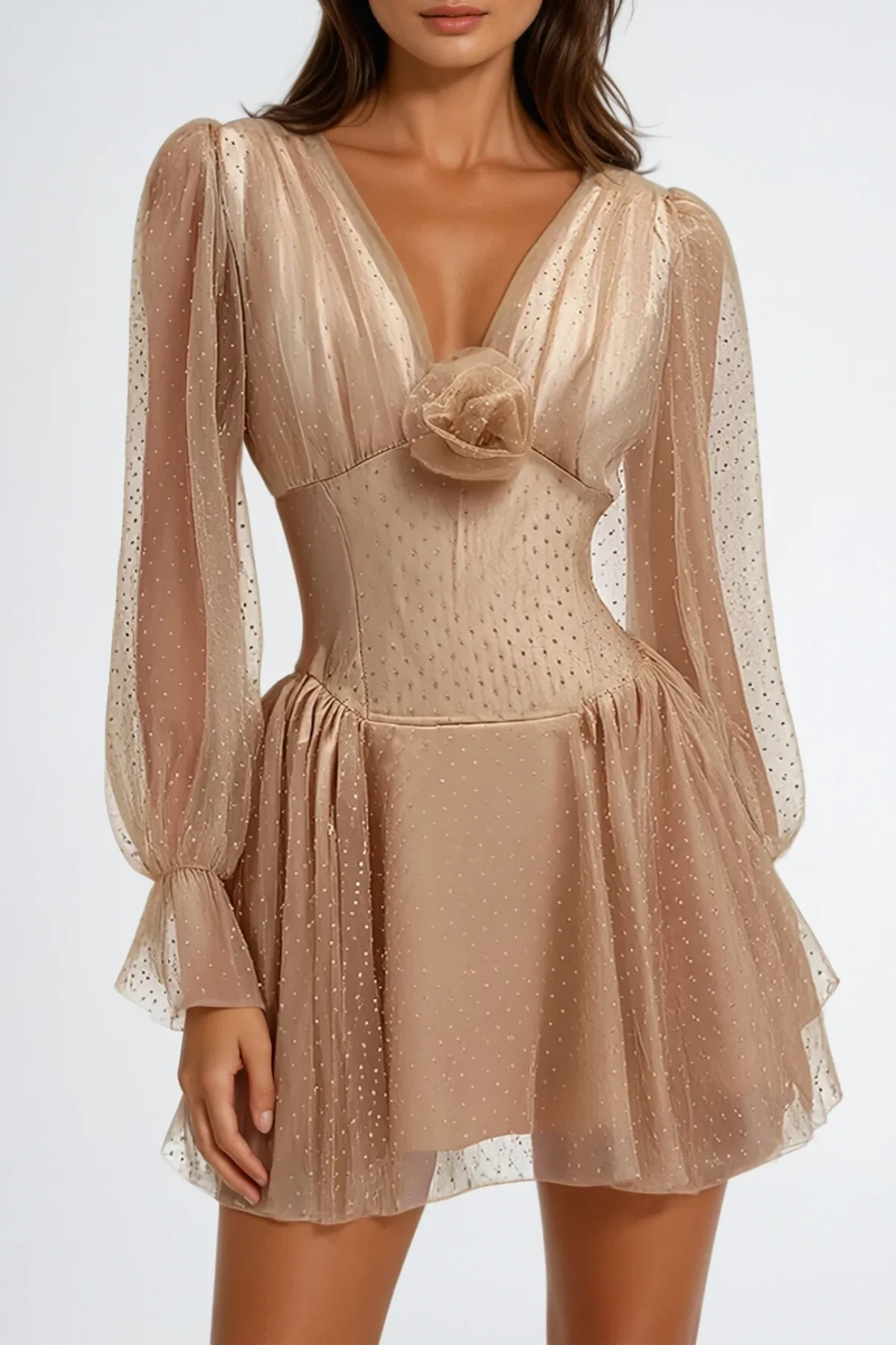 Floral Embroidered Mesh Mini Dress with Balloon Sleeves