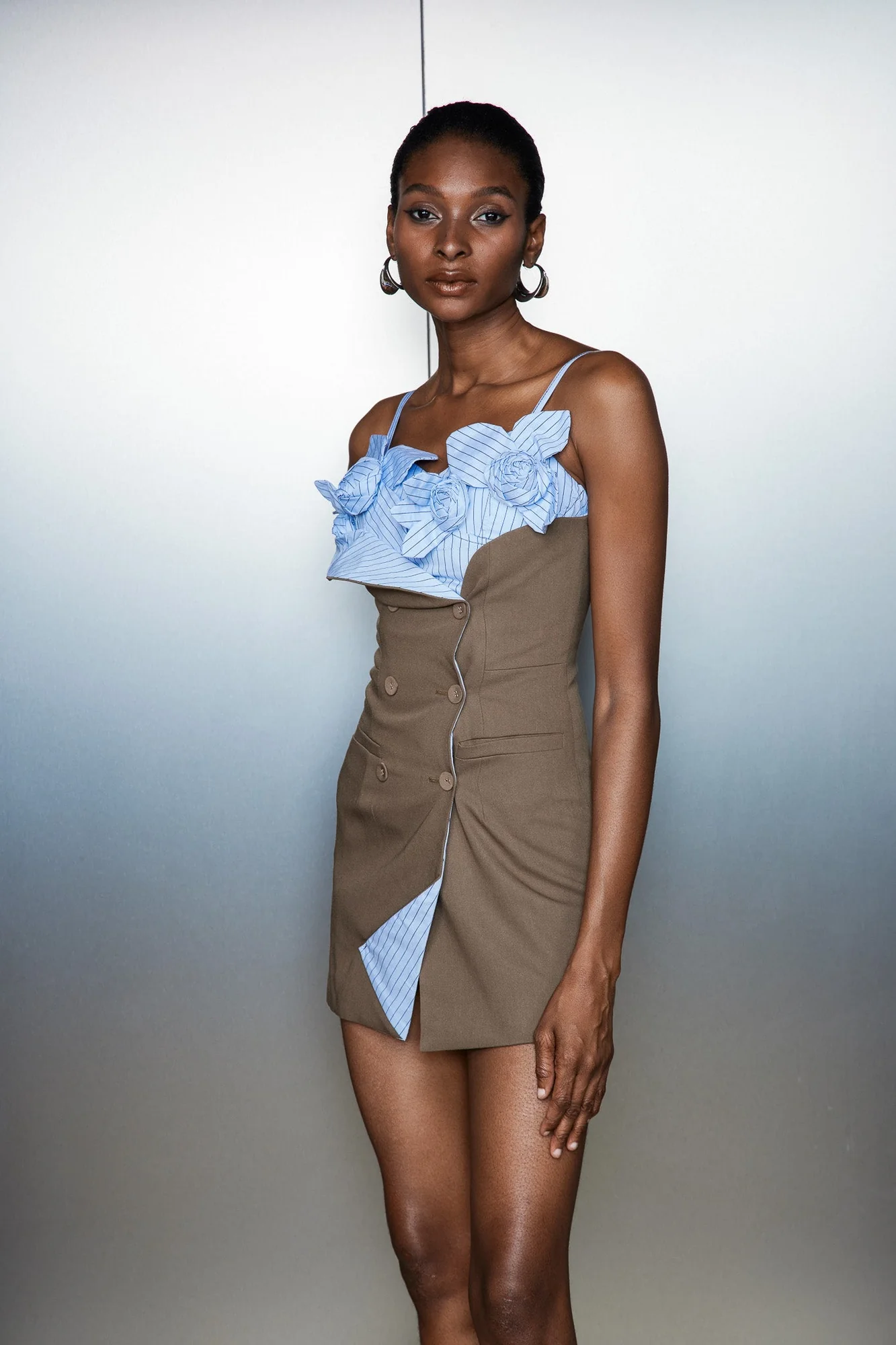 Striped Floral Print Mini Dress Brown