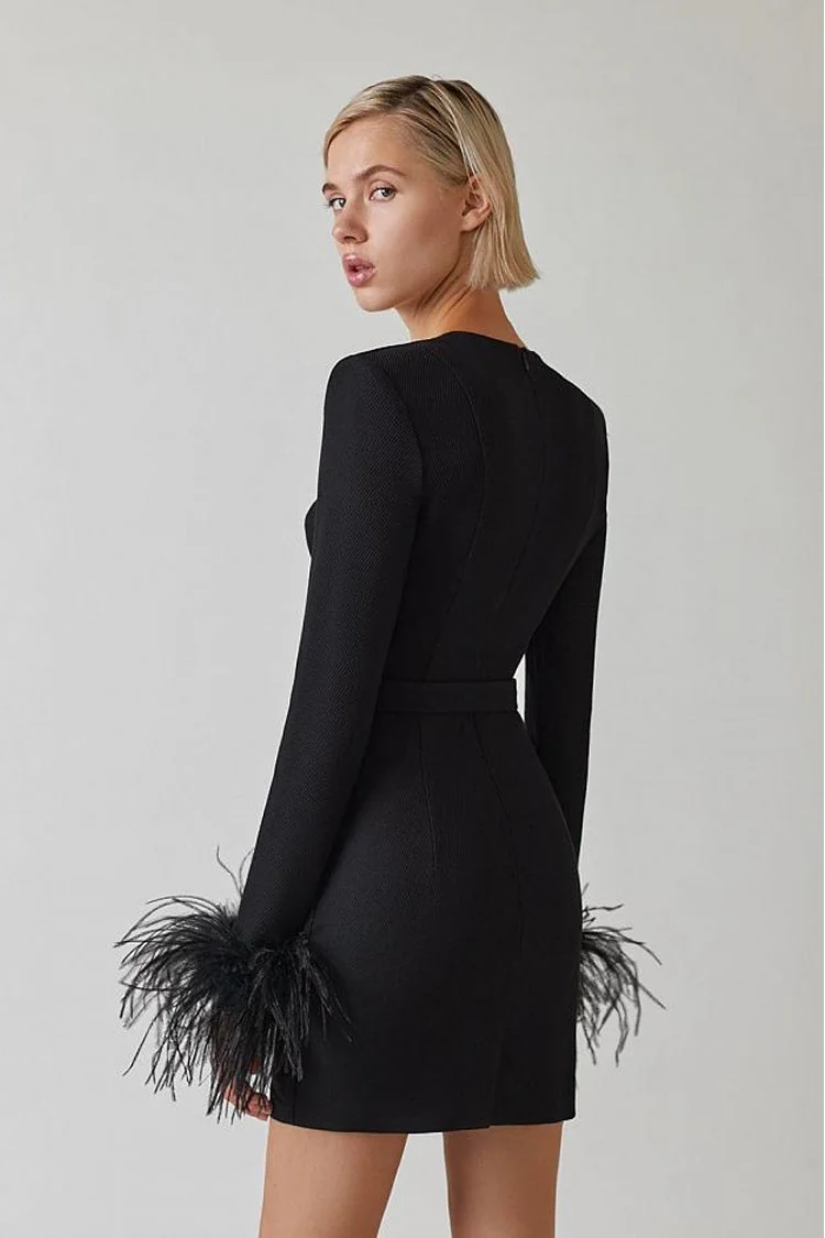 Black Feather Bodycon Mini Dress - Elegant Sheath Style